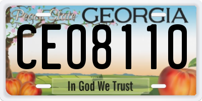 GA license plate CEO8110