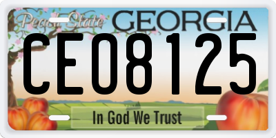 GA license plate CEO8125