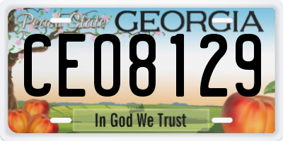 GA license plate CEO8129