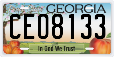 GA license plate CEO8133