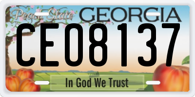GA license plate CEO8137