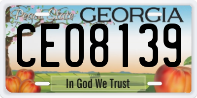 GA license plate CEO8139