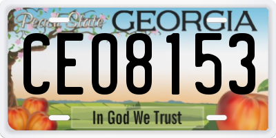 GA license plate CEO8153