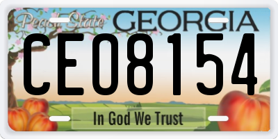 GA license plate CEO8154