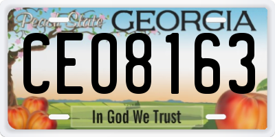 GA license plate CEO8163