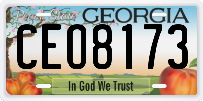 GA license plate CEO8173
