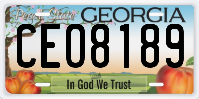 GA license plate CEO8189