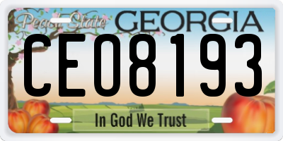 GA license plate CEO8193