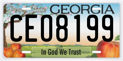 GA license plate CEO8199
