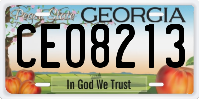 GA license plate CEO8213