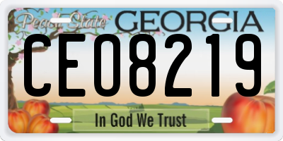 GA license plate CEO8219