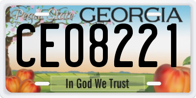 GA license plate CEO8221