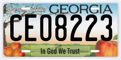GA license plate CEO8223