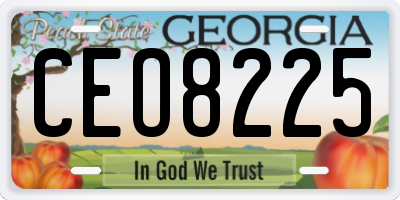 GA license plate CEO8225