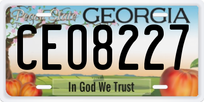 GA license plate CEO8227