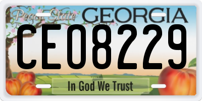 GA license plate CEO8229