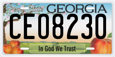 GA license plate CEO8230