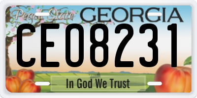 GA license plate CEO8231