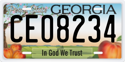 GA license plate CEO8234