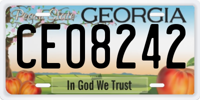 GA license plate CEO8242