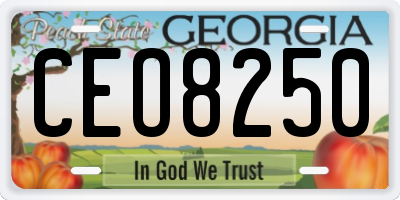 GA license plate CEO8250