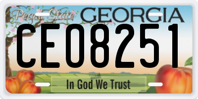 GA license plate CEO8251