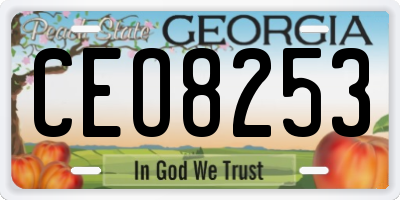 GA license plate CEO8253