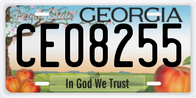 GA license plate CEO8255