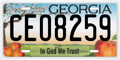 GA license plate CEO8259