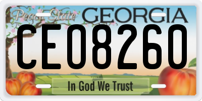 GA license plate CEO8260