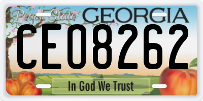 GA license plate CEO8262