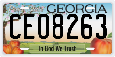GA license plate CEO8263