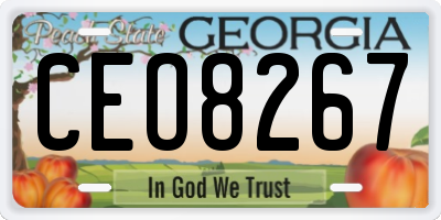 GA license plate CEO8267