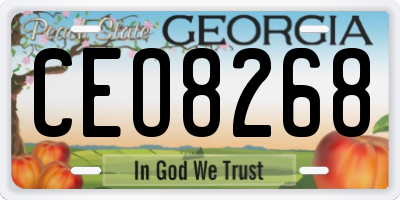 GA license plate CEO8268