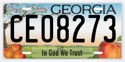 GA license plate CEO8273
