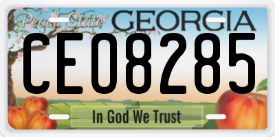 GA license plate CEO8285