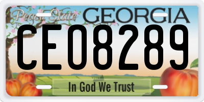 GA license plate CEO8289