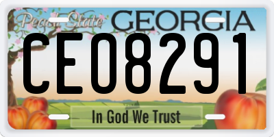 GA license plate CEO8291