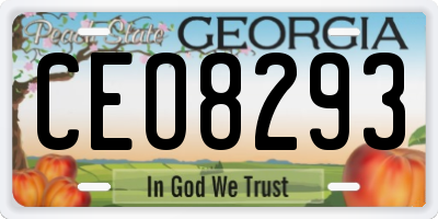 GA license plate CEO8293