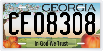 GA license plate CEO8308