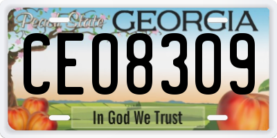 GA license plate CEO8309