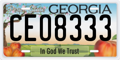 GA license plate CEO8333