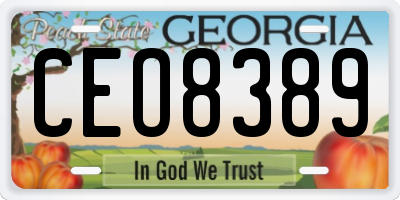 GA license plate CEO8389