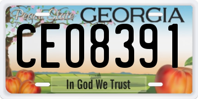 GA license plate CEO8391