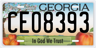 GA license plate CEO8393