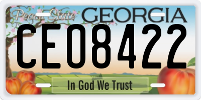 GA license plate CEO8422
