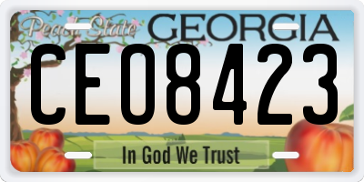 GA license plate CEO8423