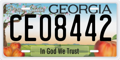 GA license plate CEO8442