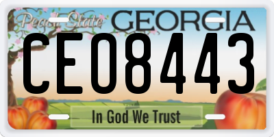 GA license plate CEO8443