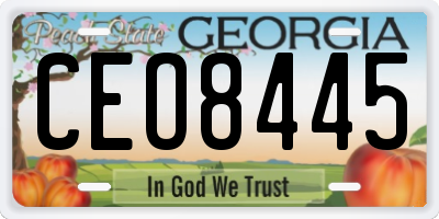 GA license plate CEO8445